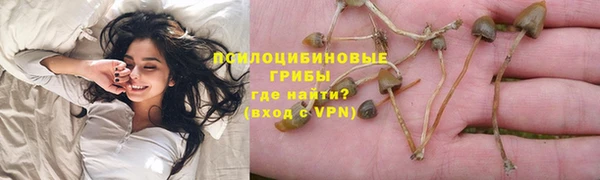 2c-b Беломорск