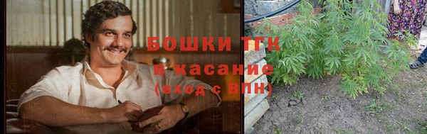 экстази Белокуриха