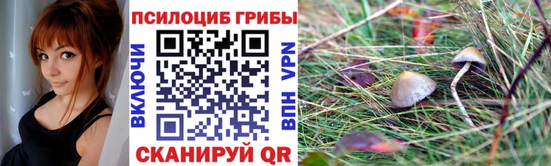 Галлюциногенные грибы Cubensis  наркотики  МЕГА ТОР  Волхов 
