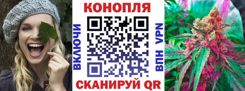 цена   Волхов  Каннабис VHQ 